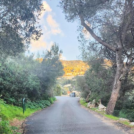 Le Mas D'Angeline, Vue Mer, Jardin Commun, Parking, Voiture Requise, 10 Min En Voiture De Monaco, Route Etroite, Pente Raide, Croisement Limite, Sea View, Shared Garden, Parking, Car Required, 10 Min Drive From Monaco, Narrow Steep Road, Limited Pass Beausoleil Kültér fotó