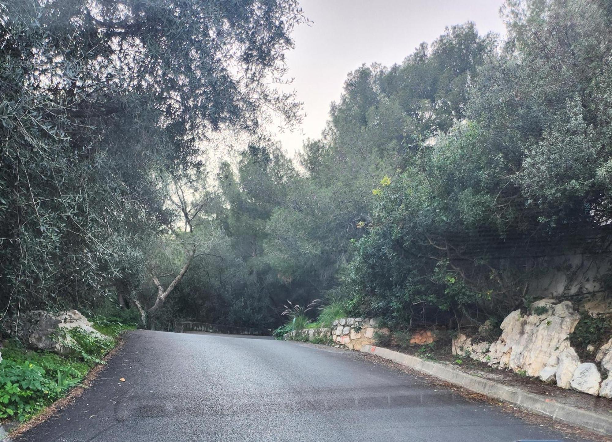 Le Mas D'Angeline, Vue Mer, Jardin Commun, Parking, Voiture Requise, 10 Min En Voiture De Monaco, Route Etroite, Pente Raide, Croisement Limite, Sea View, Shared Garden, Parking, Car Required, 10 Min Drive From Monaco, Narrow Steep Road, Limited Pass Beausoleil Kültér fotó