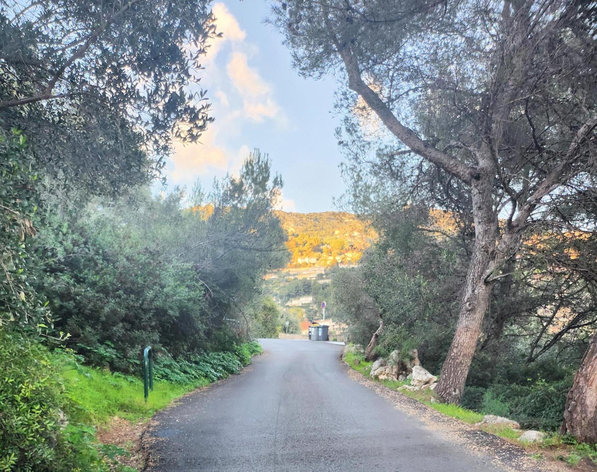Le Mas D'Angeline, Vue Mer, Jardin Commun, Parking, Voiture Requise, 10 Min En Voiture De Monaco, Route Etroite, Pente Raide, Croisement Limite, Sea View, Shared Garden, Parking, Car Required, 10 Min Drive From Monaco, Narrow Steep Road, Limited Pass Beausoleil Kültér fotó