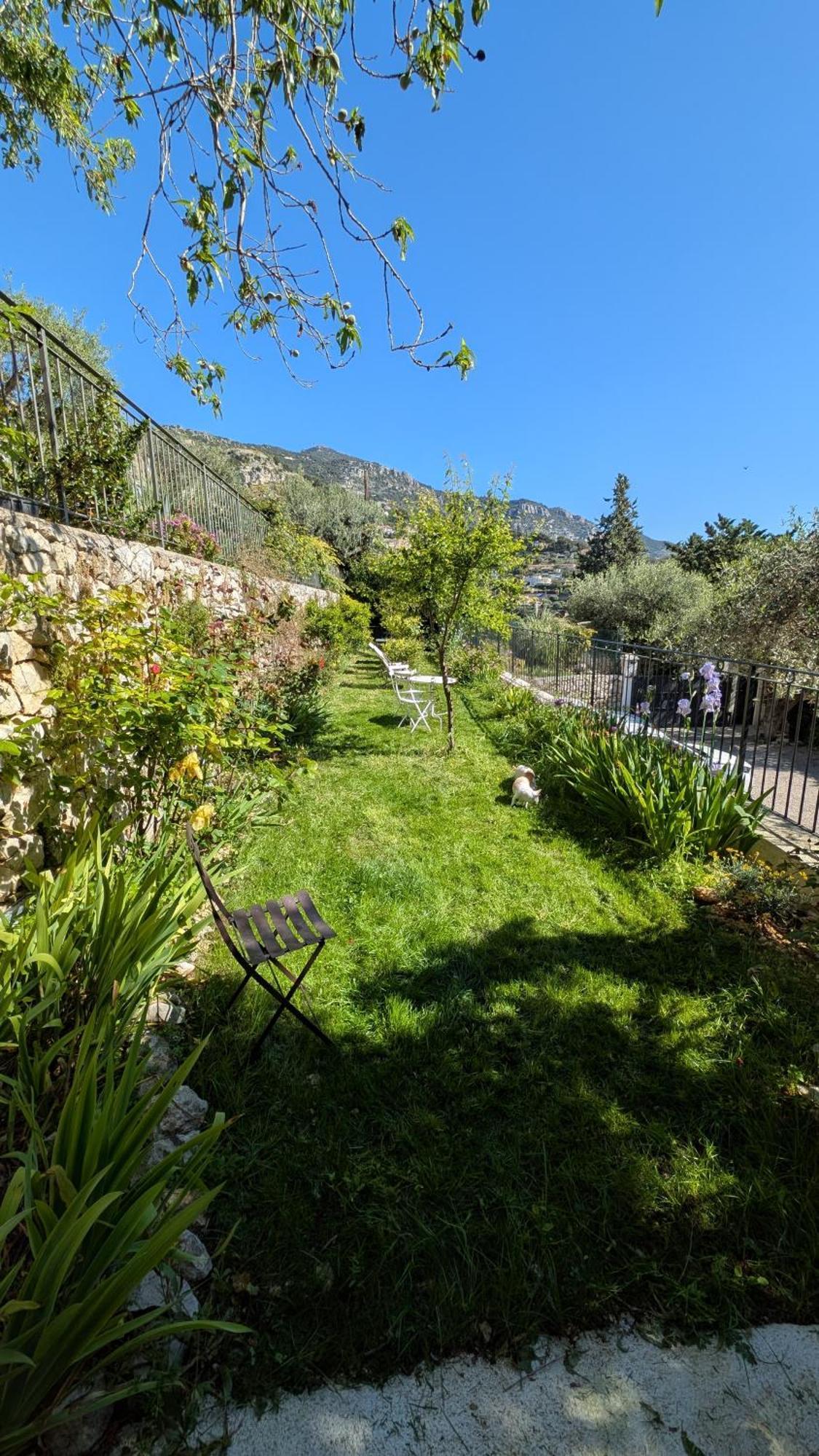 Le Mas D'Angeline, Vue Mer, Jardin Commun, Parking, Voiture Requise, 10 Min En Voiture De Monaco, Route Etroite, Pente Raide, Croisement Limite, Sea View, Shared Garden, Parking, Car Required, 10 Min Drive From Monaco, Narrow Steep Road, Limited Pass Beausoleil Kültér fotó